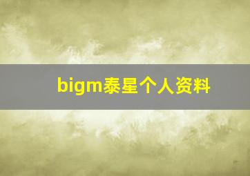 bigm泰星个人资料