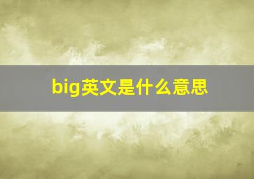 big英文是什么意思