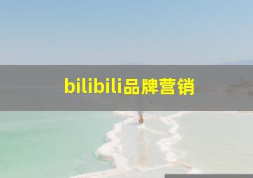 bilibili品牌营销