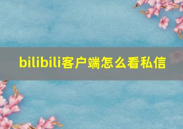 bilibili客户端怎么看私信