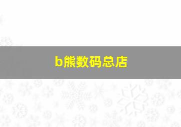 b熊数码总店