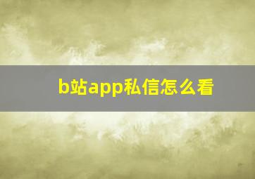 b站app私信怎么看