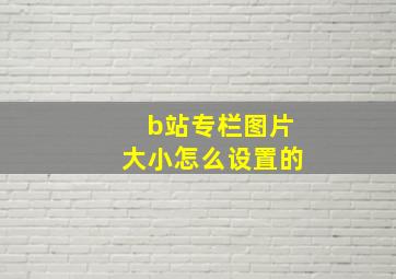 b站专栏图片大小怎么设置的