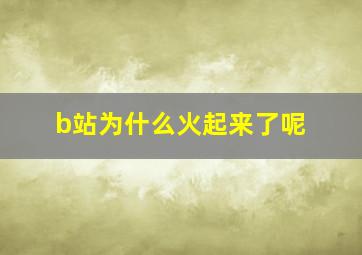 b站为什么火起来了呢