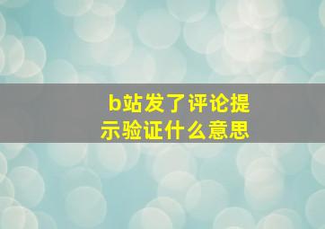 b站发了评论提示验证什么意思