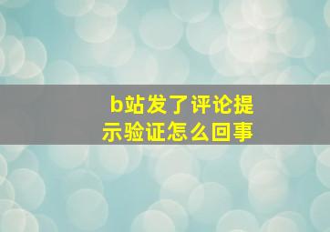 b站发了评论提示验证怎么回事