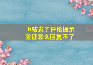 b站发了评论提示验证怎么回复不了