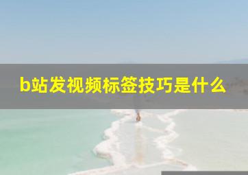 b站发视频标签技巧是什么