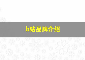 b站品牌介绍