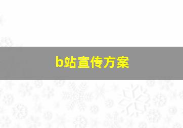 b站宣传方案