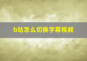 b站怎么切换字幕视频