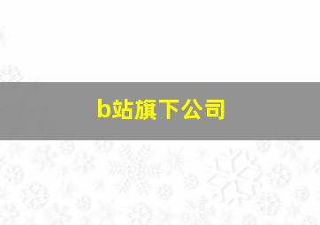 b站旗下公司