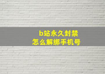 b站永久封禁怎么解绑手机号