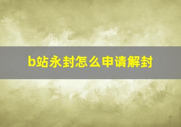 b站永封怎么申请解封