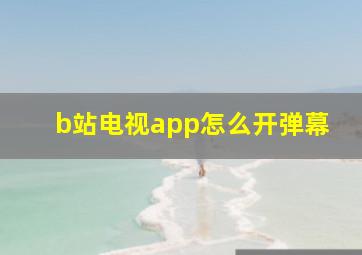 b站电视app怎么开弹幕