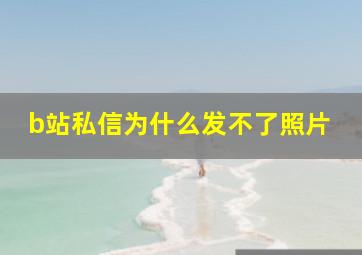 b站私信为什么发不了照片