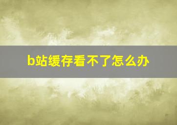 b站缓存看不了怎么办