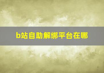 b站自助解绑平台在哪