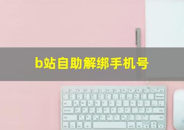 b站自助解绑手机号