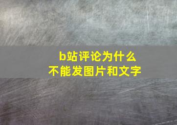 b站评论为什么不能发图片和文字