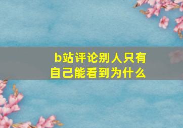 b站评论别人只有自己能看到为什么