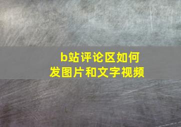 b站评论区如何发图片和文字视频