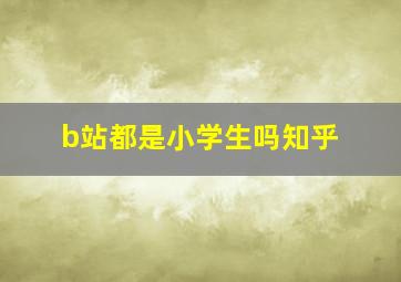 b站都是小学生吗知乎