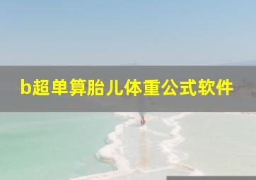 b超单算胎儿体重公式软件