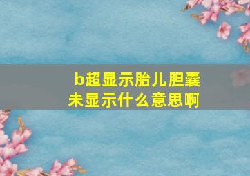 b超显示胎儿胆囊未显示什么意思啊