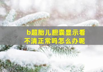 b超胎儿胆囊显示看不清正常吗怎么办呢