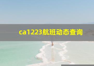 ca1223航班动态查询