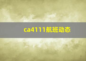 ca4111航班动态