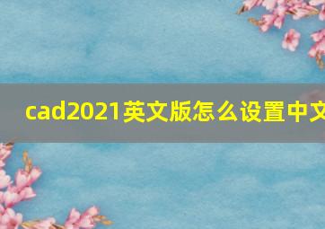 cad2021英文版怎么设置中文