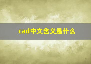 cad中文含义是什么