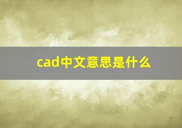 cad中文意思是什么