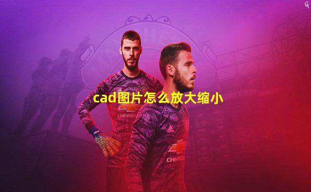 cad图片怎么放大缩小