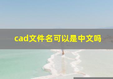 cad文件名可以是中文吗