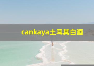 cankaya土耳其白酒