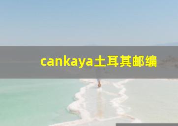 cankaya土耳其邮编