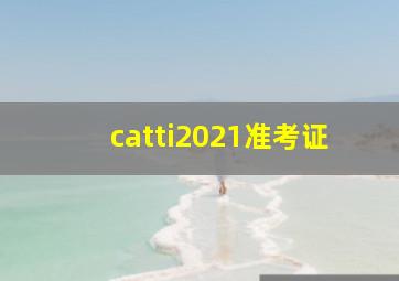 catti2021准考证