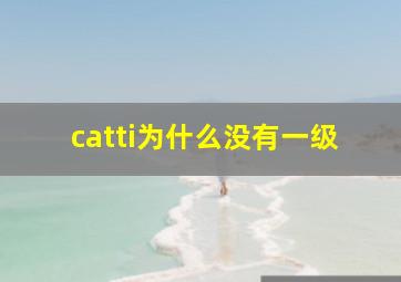 catti为什么没有一级