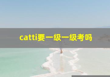 catti要一级一级考吗