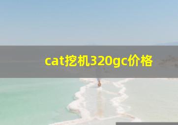 cat挖机320gc价格