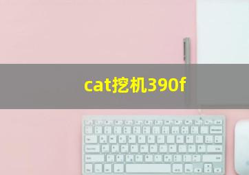 cat挖机390f