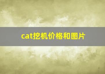 cat挖机价格和图片