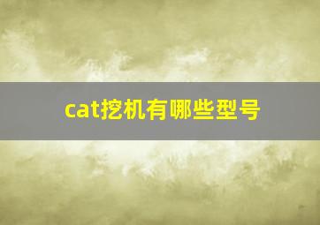 cat挖机有哪些型号