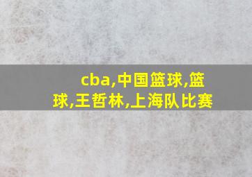 cba,中国篮球,篮球,王哲林,上海队比赛