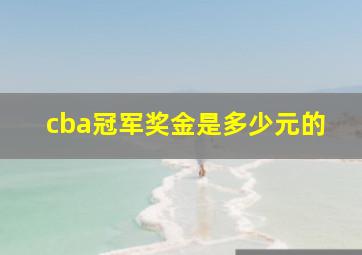 cba冠军奖金是多少元的