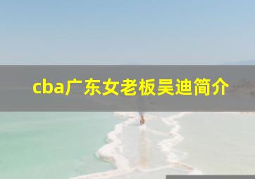 cba广东女老板吴迪简介