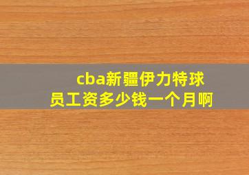 cba新疆伊力特球员工资多少钱一个月啊